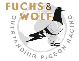 logo brieftauben fuchs