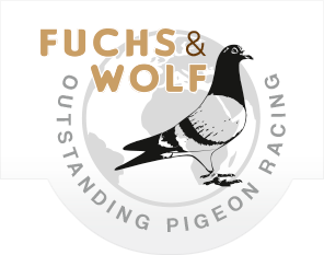 Logo Fuchs Wolf  Brieftauben